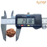Collector 6 Mukhi Rudraksha Nepal (23.18 MM)