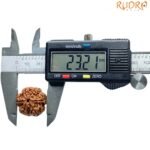 Collector-6-Mukhi-Rudraksha-Nepal-23.21-Mm-Op-C.jpg