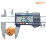 Collector 6 Mukhi Rudraksha Nepal (23.80 MM)