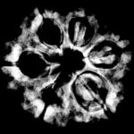 Collector 6 Mukhi Rudraksha Nepal - ( 25.32 MM)