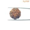 Collector 7 Mukhi Rudraksha Nepal ( 22.07 Mm ) 12 Collector-7-Mukhi-Rudraksha-Nepal-22.07-Mm-Fp-C.jpg