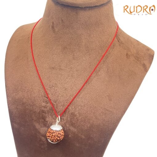 Collector-7-Mukhi-Silver-Capped-Rudraksha-Nepal-22.50-Mm-Lp-C.jpg