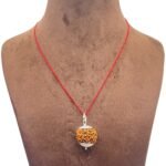 Collector-7-Mukhi-silver-Capped-Rudraksha-Nepal-23.00MM-MP-C.jpg