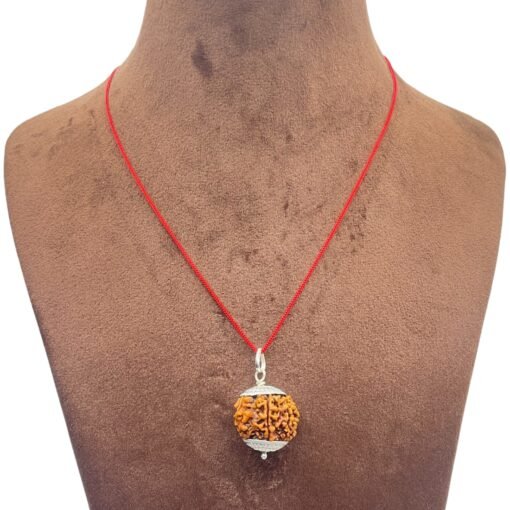 Collector-7-Mukhi-Silver-Capped-Rudraksha-Nepal-23.00Mm-Mp-C.jpg