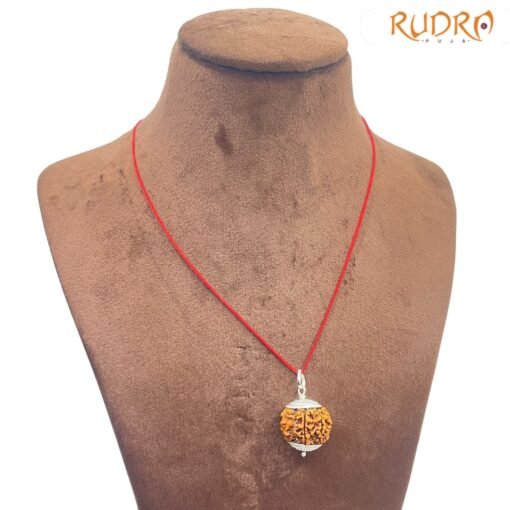 Collector-7-Mukhi-silver-Capped-Rudraksha-Nepal-23.00MM-RP-C.jpg