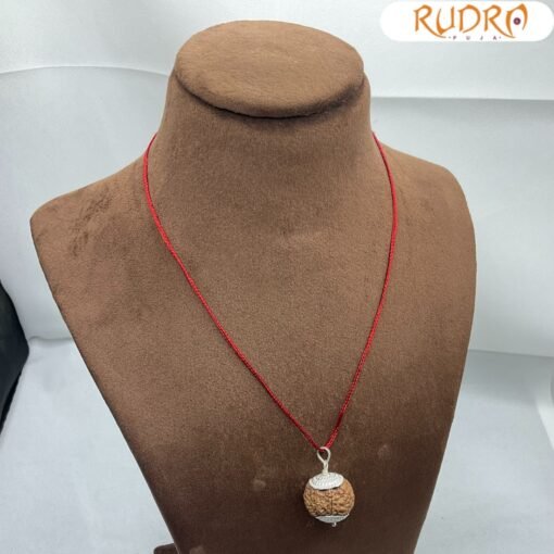Collector-7-Mukhi-Silver-Capped-Rudraksha-Nepal-23.72Mm-Lp-C.jpg