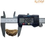 Ek Mukhi Rudraksha - (34.80 MM)