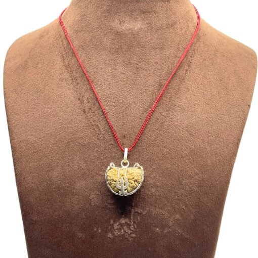 Ek Mukhi Rudraksha With Silver Capping (25.10 Mm)