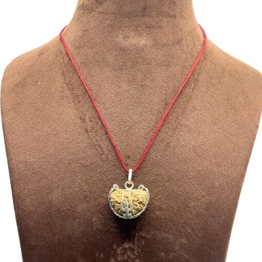 Ek Mukhi Rudraksha With Silver Capping (25.10 Mm)