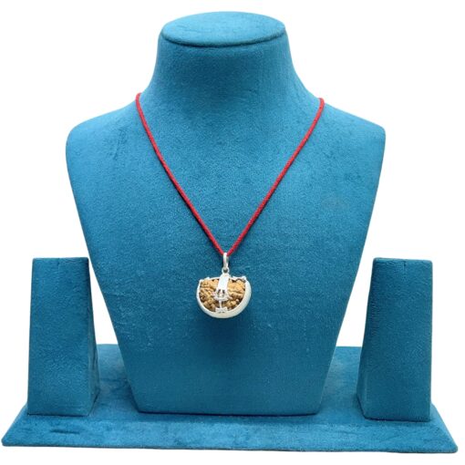 Ek Mukhi Rudraksha With Silver Capping (30.10 MM)