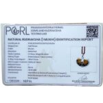 Ek Mukhi Rudraksha With Silver Capping (31.90 MM)
