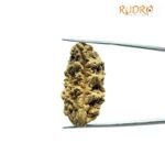 One Mukhi Rudraksha (37.20 Mm)