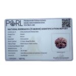 Original 5 Mukhi Nepal Rudraksha - (26.00 MM)