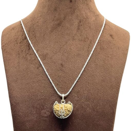 Small Ek Mukhi Rudraksha Silver Capping With Silver Chain (25.10 Mm)