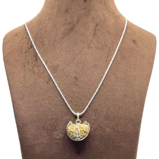 Small Ek Mukhi Rudraksha Silver Capping With Silver Chain (25.10 Mm)