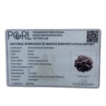 Super Collector 5 Mukhi Rudraksha (27.70 MM)