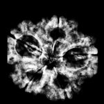 Super Collector 5 Mukhi Rudraksha Nepal - (27.35 MM) x-ray