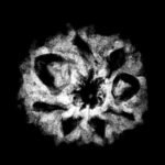 7 Mukhi Indonesian Rudraksha (17.95 Mm)