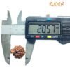 1 Mukhi Savar Rudraksha (20.57 Mm ) 12 1 Mukhi Savar Rudraksha (20.57 Mm )