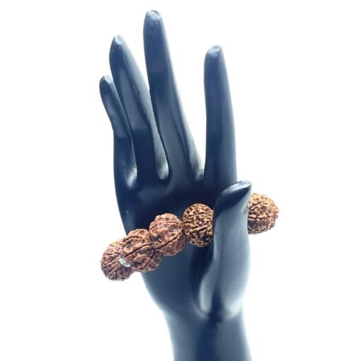 7 Mukhi Kantha Rudraksha Bracelet - 11 Beads