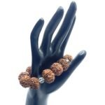 7 Mukhi Kantha Rudraksha Bracelet - 11 Beads