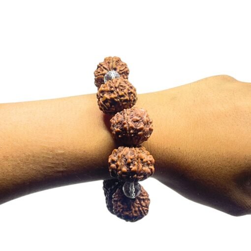 7 Mukhi Laxmi Rudraksha Bracelet - 11 Beads