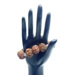 7 Mukhi Kantha Rudraksha Bracelet - 11 Beads