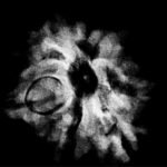 Ganesha Rudraksha - (22.65 MM)