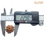 Ganesha Rudraksha 22.98 MM