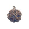 Ganesha Rudraksha 23.48 Mm 14 Ganesha Rudraksha 23.48 Mm