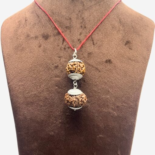 Libra (Tula) Rudraksha Combination 6 &Amp; 12 Mukhi