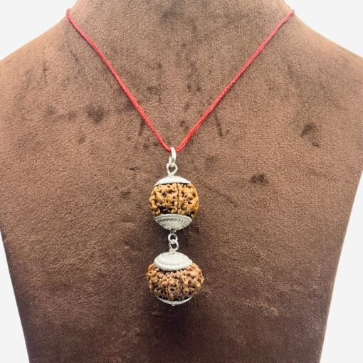 Libra (Tula) Rudraksha Combination 6 &Amp; 12 Mukhi