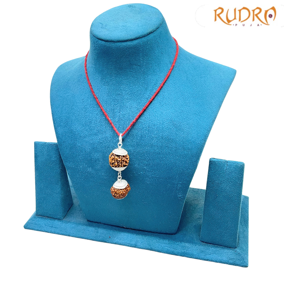 Libra (Tula) Rudraksha Combination 6 & 12 Mukhi