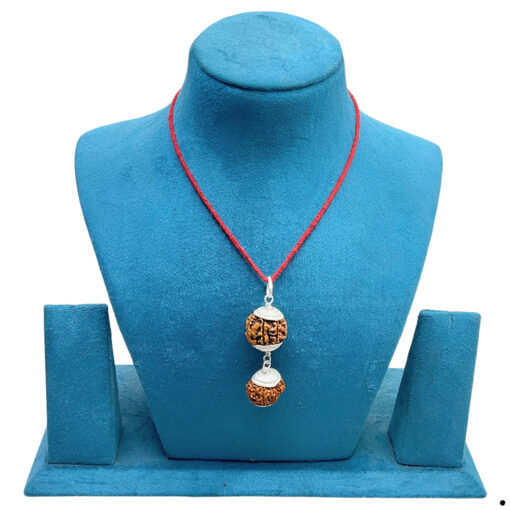 Libra (Tula) Rudraksha Combination 6 & 12 Mukhi