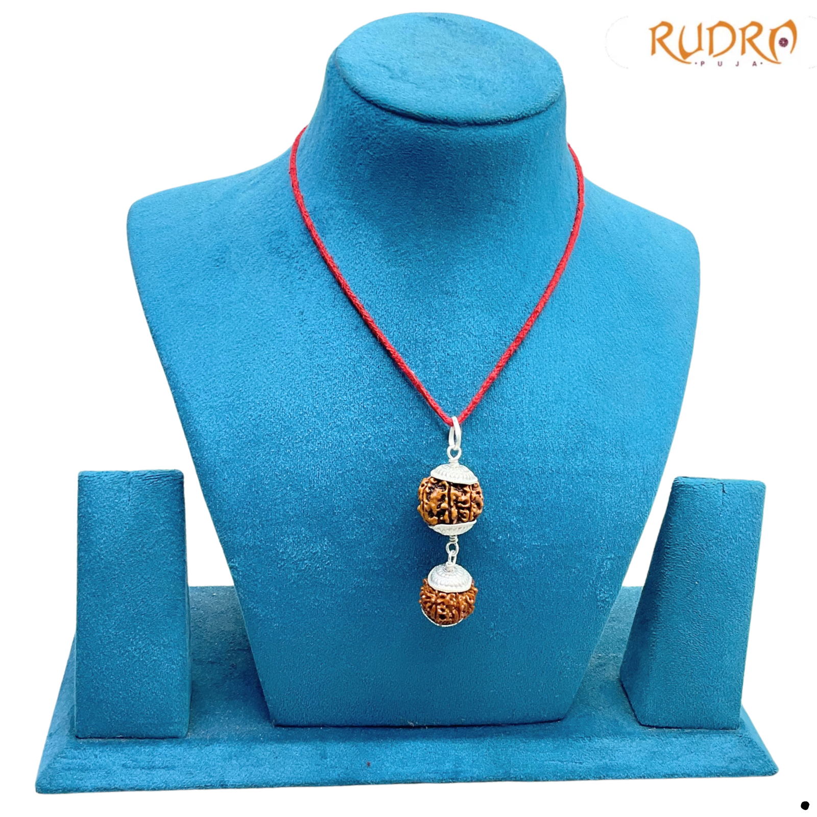 Libra (Tula) Rudraksha Combination 6 & 12 Mukhi