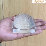 Shree Yantra Sphatik Kurma Lab certified 2 by 3.25 inches 475 Grams Rudrapuja