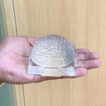 Shree Yantra Sphatik Kurma Lab certified 2 by 3.25 inches 475 Grams Rudrapuja