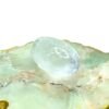 Sphathik Lingam 2 Inches 86 Grams 13 Sphathik Lingam 2 Inches 86 Grams