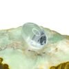 Sphathik Lingam 2.25 Inches 96 Grams 14 Sphathik Lingam 2.25 Inches 96 Grams