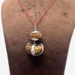 Surya (Sun) Rudraksha Combination 12 &Amp; 1 Mukhi