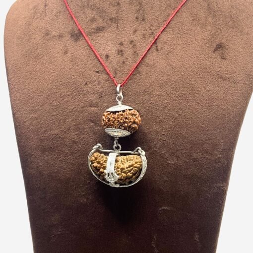 Surya (Sun) Rudraksha Combination 12 &Amp; 1 Mukhi