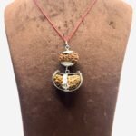 Surya (Sun) Rudraksha Combination 12 & 1 Mukhi