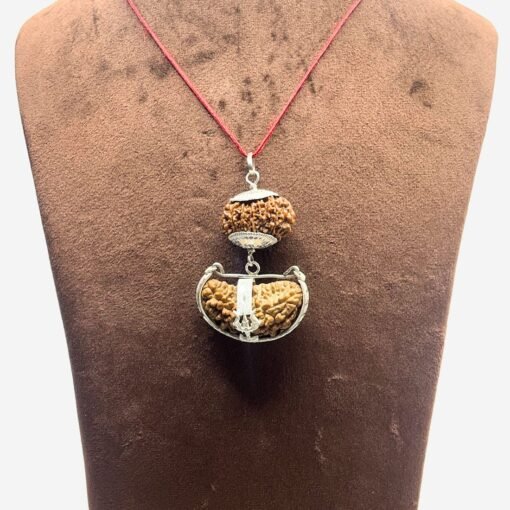 Surya (Sun) Rudraksha Combination 12 &Amp; 1 Mukhi