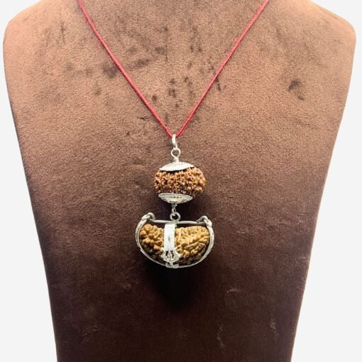 Surya (Sun) Rudraksha Combination 12 &Amp; 1 Mukhi
