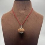 Rudraksha for administration,authority, physical stamina