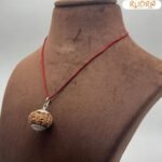 Rudraksha For Administration,Authority, Physical Stamina