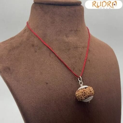 Rudraksha For Administration,Authority, Physical Stamina