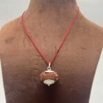 15 mukhi rudraksha
