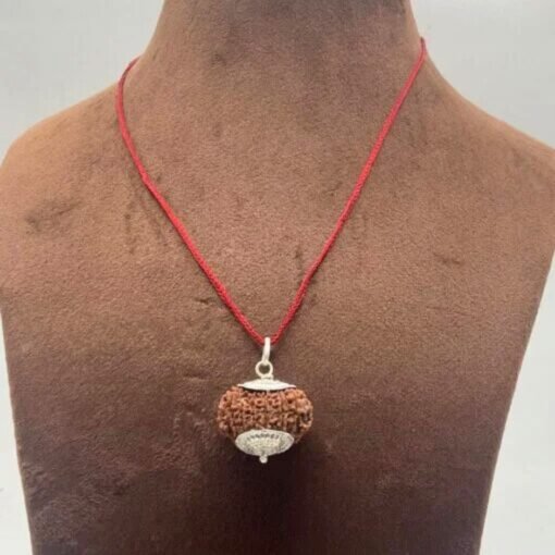 15 Mukhi Rudraksha