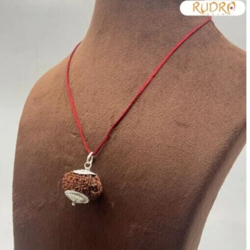15 Mukhi Rudraksha